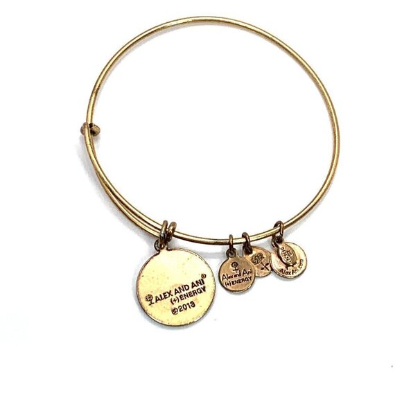 Alex and Ani Path of Life Charm Bracelet Gold Finish Expands 2"- 3.5" - Picture 3 of 3